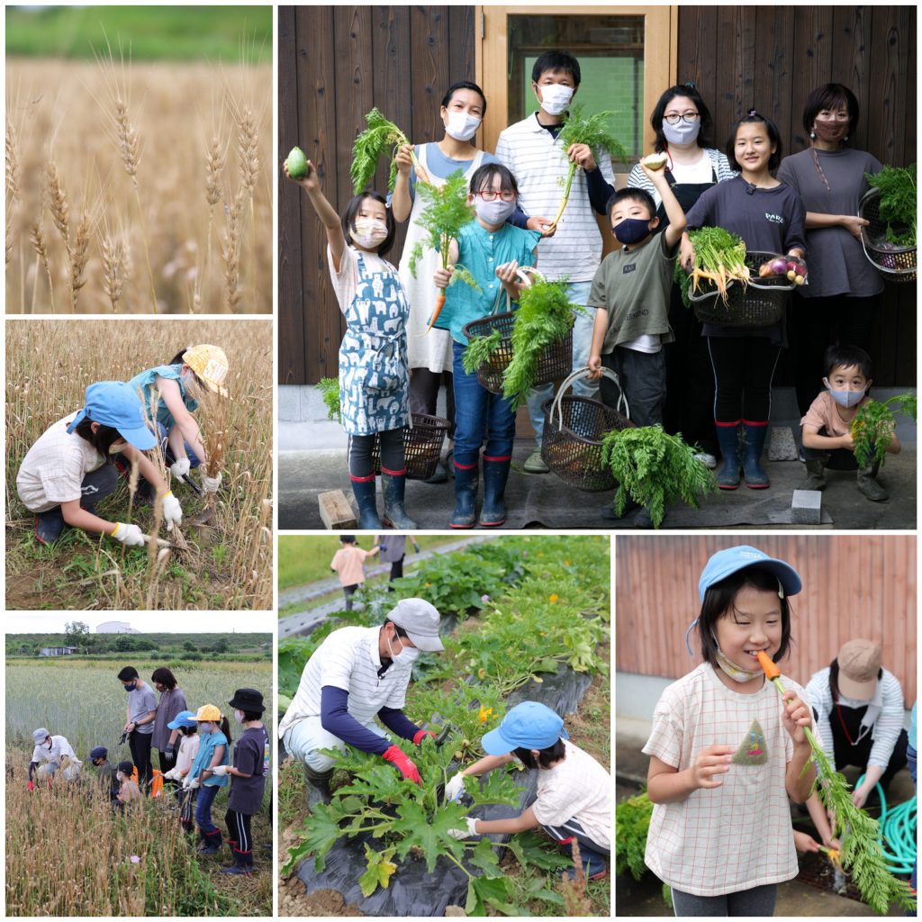 86farmさんで農業体験&野菜パン作り