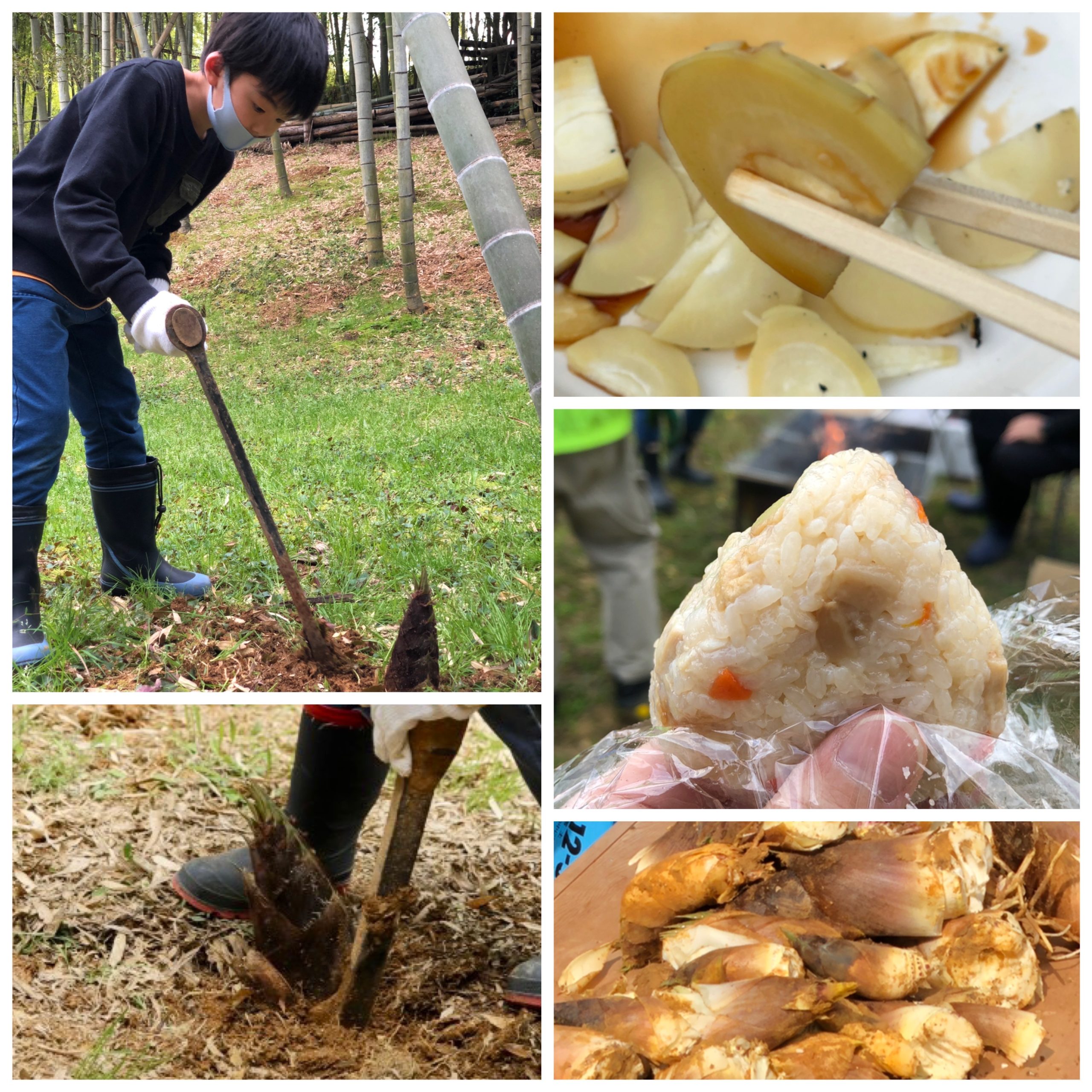 「名人と行く！報恩寺たけのこ堀り体験＆試食」の受付を終了しました！